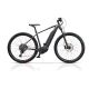 CROSS STREAMER 29'' SPORTIVE